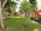 Spacious well-maintained garden with trees and a small decorative shrine