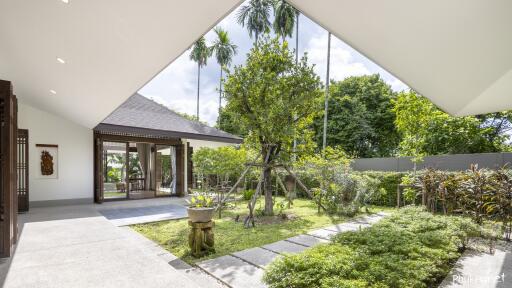 Modern house with lush garden