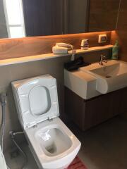 Modern bathroom with toilet and sink