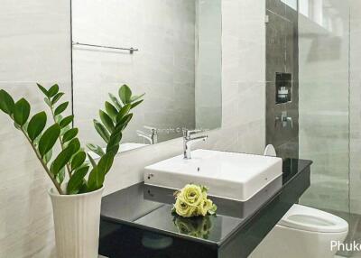 Modern bathroom with large mirror and plant decoration