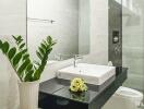 Modern bathroom with large mirror and plant decoration