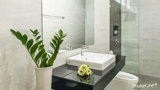 Modern bathroom with large mirror and plant decoration