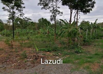 4 Rai plot of land in Nong Ya Plong