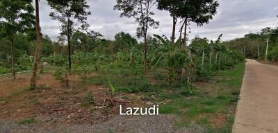 4 Rai plot of land in Nong Ya Plong