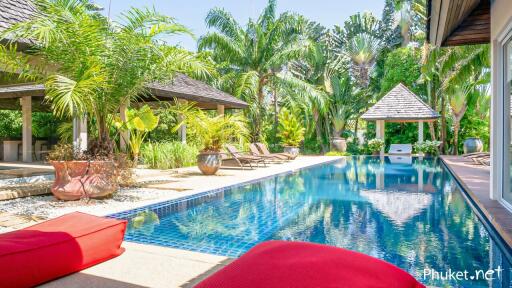 Outdoor area with swimming pool and garden