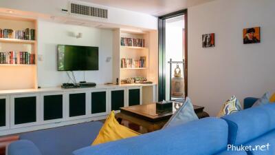 Cozy living room with blue sofa, wall-mounted TV, and built-in bookshelves