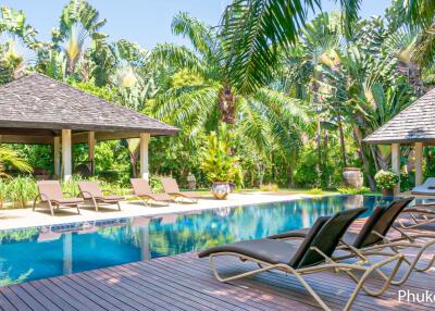 Beautiful tropical outdoor pool with sun loungers and gazebos