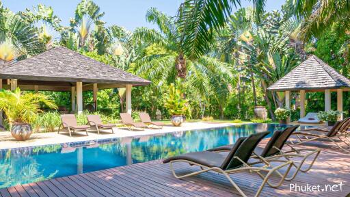 Beautiful tropical outdoor pool with sun loungers and gazebos