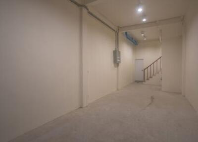 Spacious basement with lighting and stair access