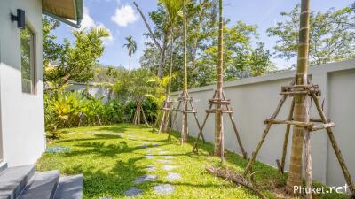 Outdoor garden area with palm trees and stepping stones