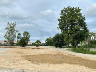 Vacant plot of land with trees and houses in the background