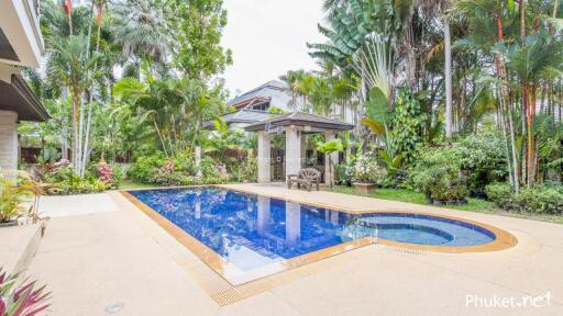 Swimming pool in a lush tropical garden