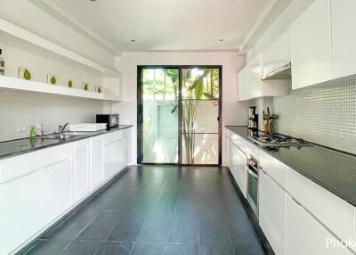 Modern kitchen with sleek white cabinets and black countertops