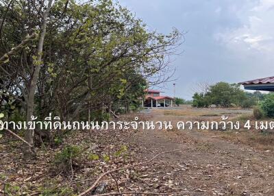 Pathway and trees leading to a house