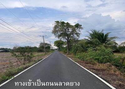 Rural road leading to the property surrounded by vegetation