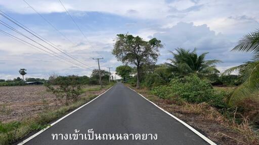 Rural road leading to the property surrounded by vegetation