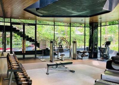 Modern gym with exercise equipment and greenery view