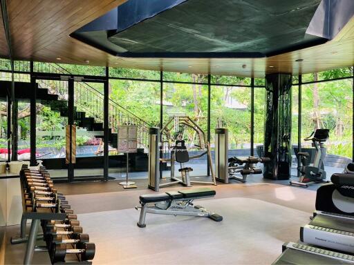 Modern gym with exercise equipment and greenery view