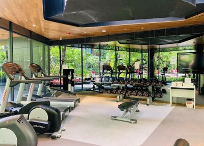 Modern fitness center with cardio and weight training equipment