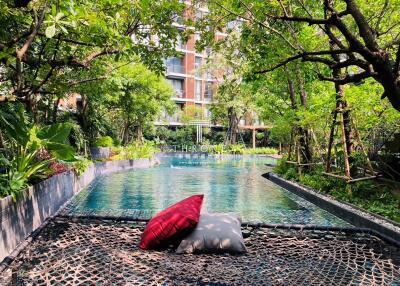 Outdoor swimming pool with surrounding greenery and lounge area