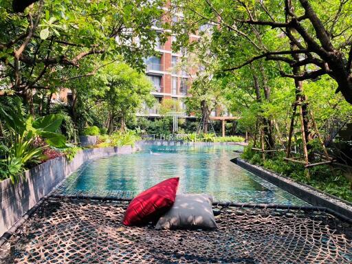 Outdoor swimming pool with surrounding greenery and lounge area