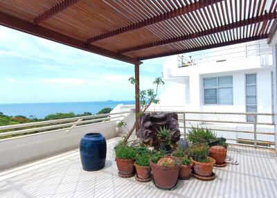 Spacious balcony with ocean view and potted plants