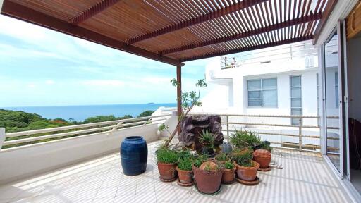 Spacious balcony with ocean view and potted plants