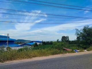 Scenic outdoor view with greenery and blue sky