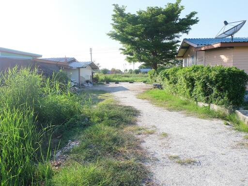 Exterior view of property with surrounding greenery and path