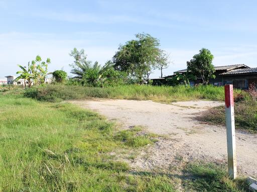 Vacant land with greenery and clear sky