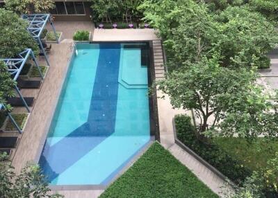 Aerial view of an outdoor swimming pool surrounded by greenery.