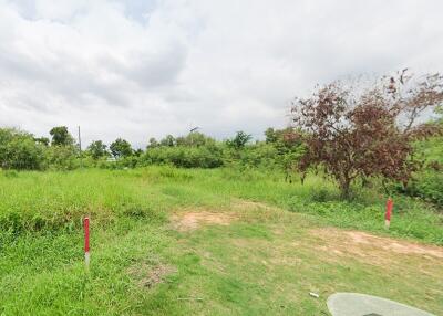 Spacious outdoor area with greenery and trees