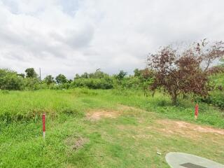 Spacious outdoor area with greenery and trees