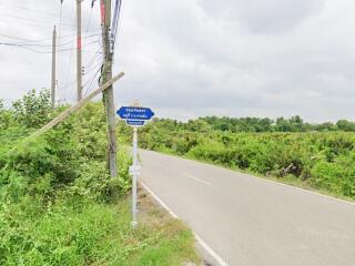 Rural road with greenery and signpost