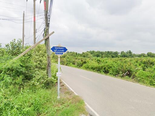 Rural road with greenery and signpost