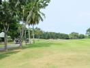 Golf course view with trees and golf carts