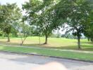 View of a green park with trees and grass