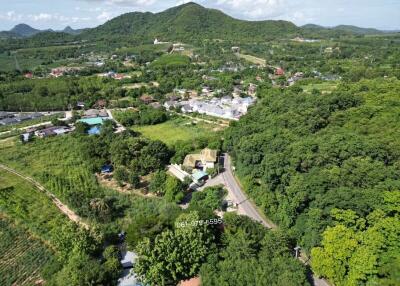 Aerial view of a verdant landscape with houses and roads