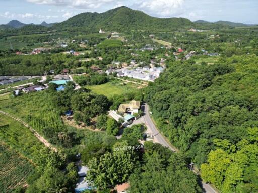 Aerial view of a verdant landscape with houses and roads