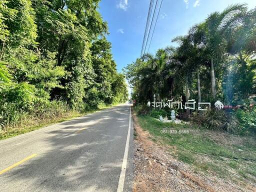 Roadside view with surrounding trees and greenery