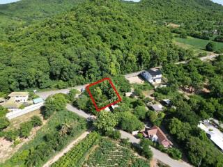 Aerial view of residential area surrounded by greenery