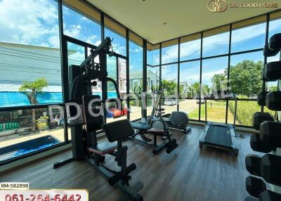 Home gym with large windows and modern exercise equipment
