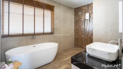 Modern bathroom with a freestanding bathtub and shower