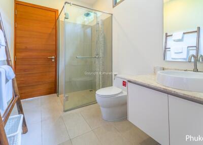 Bathroom with glass-enclosed shower, toilet, and sink