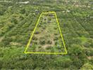 Aerial view of a plot of land surrounded by greenery