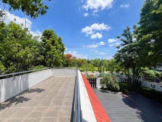 Outdoor rooftop terrace with lush greenery and clear blue sky