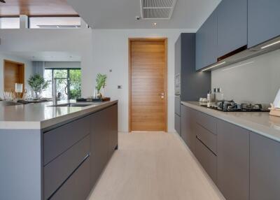 Modern kitchen with wooden door and built-in appliances