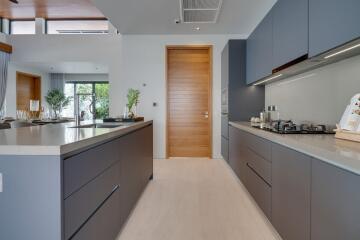 Modern kitchen with wooden door and built-in appliances