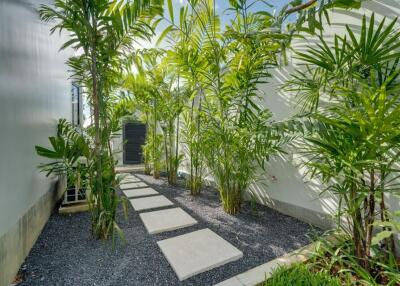 well-maintained garden pathway with plants