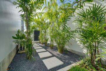 well-maintained garden pathway with plants